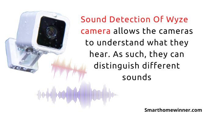 Sound Detection Of Wyze camera infographics