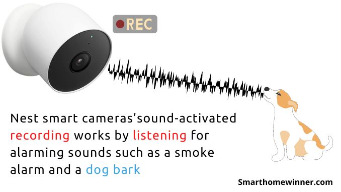 google nest sound activated features infographics