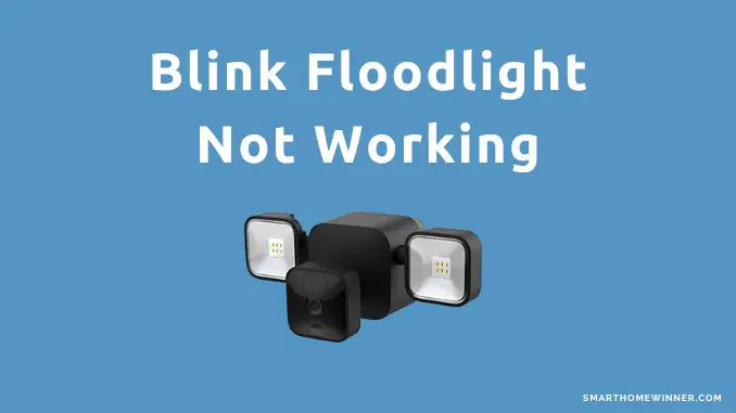 Blink Floodlight Not Working