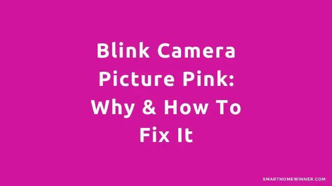 Blink Camera Picture Pink Why How To Fix It