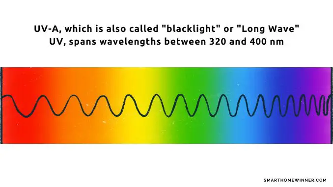 blacklight and wavelenghts on spectrum
